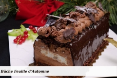 Buche-Feuille-dAutomne